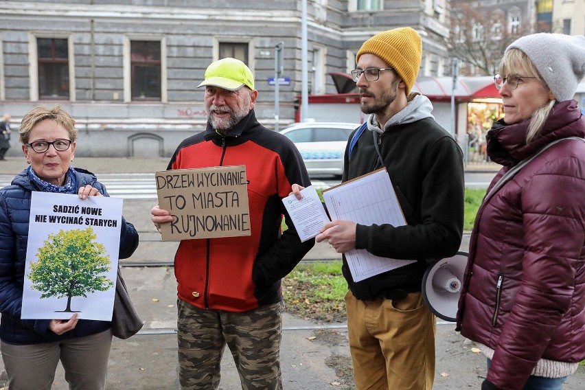 "Nie ma zgody na wycinkę". Miejscy aktywiści chcą wstrzymać wycinkę drzew w ciągu ulicy Piłsudskiego w Szczecinie. Zorganizowali protest