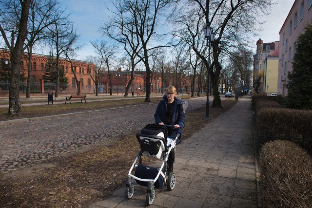 Nieco ponad sto starych drzew rosnących przy ulicy Piastowskiej zostanie wyciętych