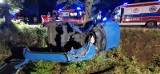 Wypadek na trasie Kopalina-Domaradzka Kuźnia. Renault wjechało w drzewo. Nie żyje 37-letnia kobieta, 29-letni mężczyzna jest ranny