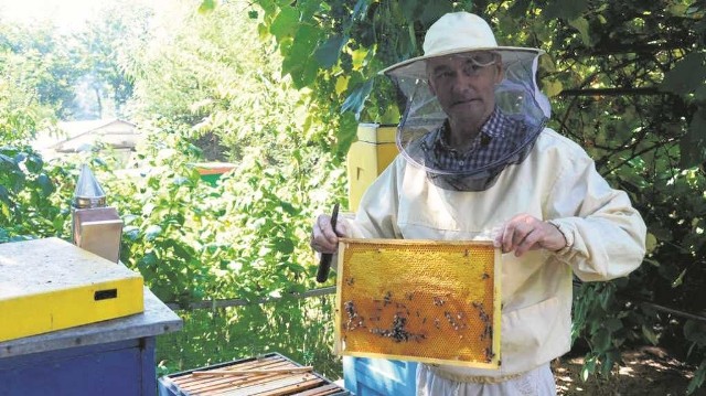 Stanisław Paryło, pszczelarz z Brzeska, dba o pasiekę, którą ma już od blisko pięćdziesięciu lat. Jego pszczoły nigdy jeszcze nie chorowały. Zgnilca amerykańskiego boi się jednak jak ognia