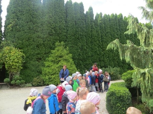 Dzieci z Samorządowego Przedszkola w Pacanowie świętowały Dzień Przedszkolaka. Pojechały na wycieczkę do szkółki drzew i krzewów [ZDJĘCIA