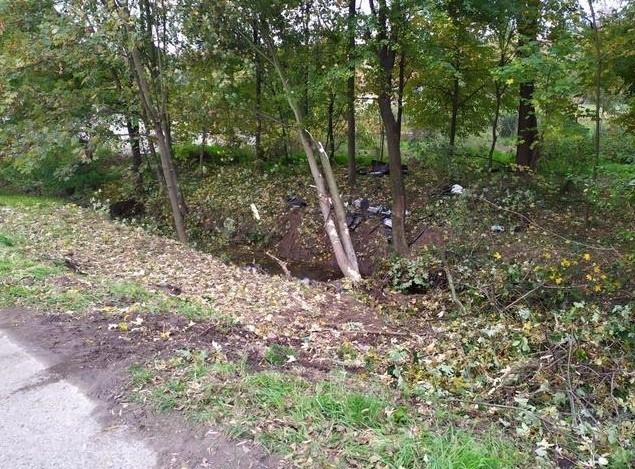 Łękawica. Tragiczny wypadek pod Tarnowem. Nie żyje 18-letni kierowca