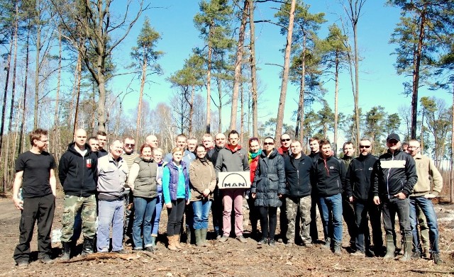 Grupa pracowników firmy MAN w ramach wolontariatu posadziła ponad 1000 sadzonek dębów w leśnictwie Lubienia.