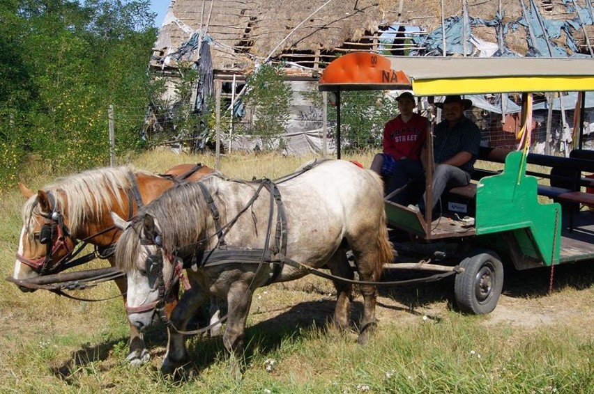 Goście pod chałupę zajechali tramwajem konnym rodem z...