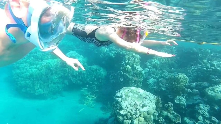 Snorkeling to mała namiastka nurkowania z butlą tlenową
