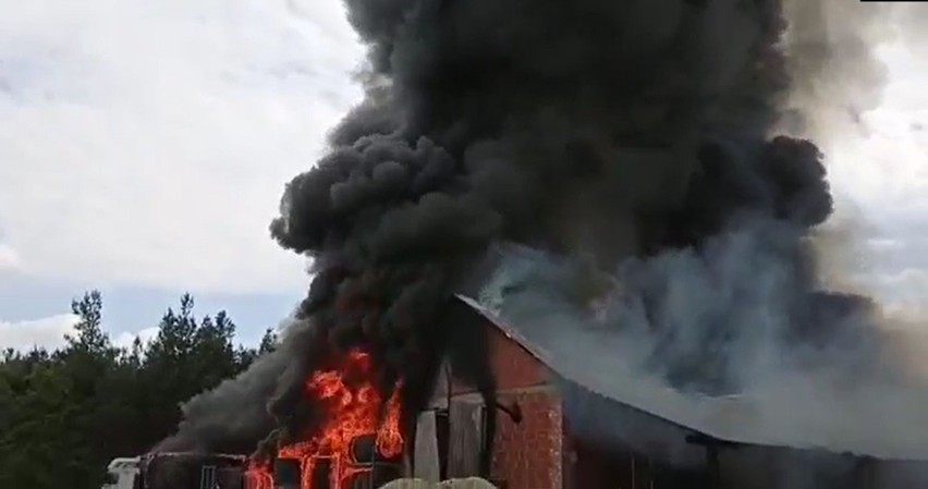 Pożar w Sadykierzu. Spłonęła hala firmy transportowej. 4.06.2022