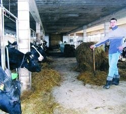 Krzysztof Miszkiel ze wsi Półkoty, choć ma pełną oborę krów, obawia się, że dopłat zwierzęcych nie otrzyma - zarówno w tym roku, jak i w latach kolejnych