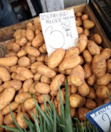 Zakupy 2018. Kupujesz młode ziemniaki, uważaj na importowane z Egiptu; mogą być z groźną bakterią!