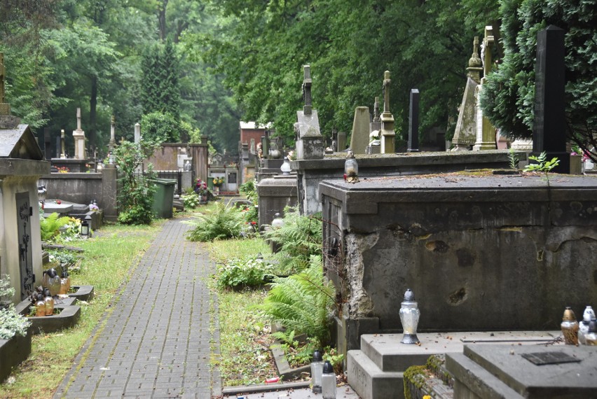 Na Starym Cmentarzu w Tarnowie istniejący montioring...