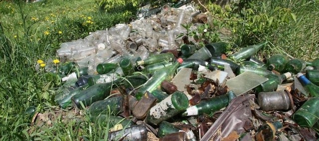 Takie stosy butelek leżą w pobliżu kieleckiego rezerwatu Wietrznia.