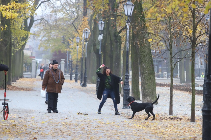 Łódzki park im. Sienkiewicza został udostępniony...