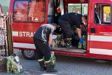 Wieliczka. Dary trafiły do potrzebujących. Pomogli strażacy ochotnicy [ZDJĘCIA]