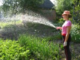 Zakaz podlewania ogródków! Już w maju mamy suszę hydrologiczną, ostrzega IMGW