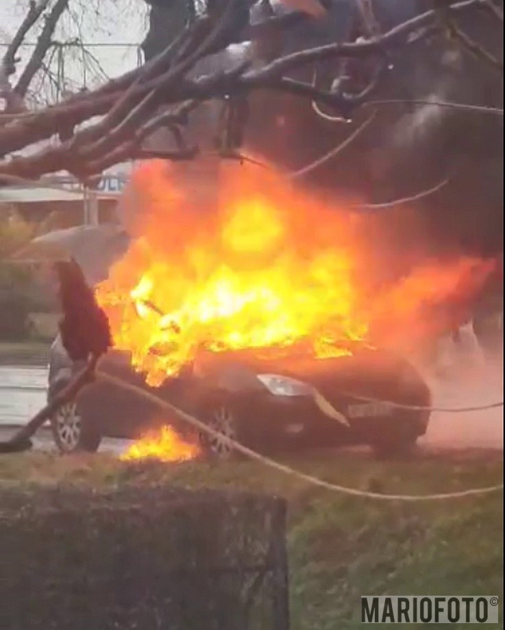 Pożar samochodu w Opolu.