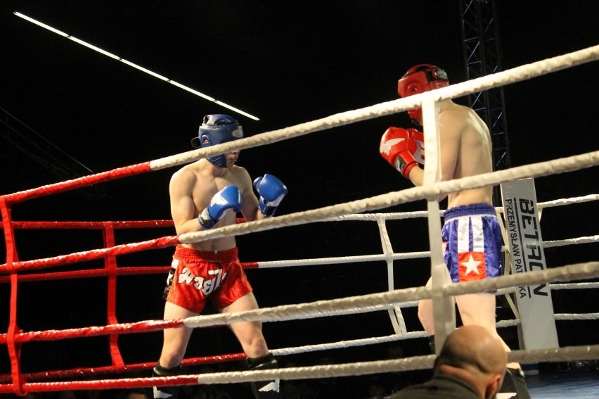 Głogowianie zdominowali Legion Fight Night [Zdjęcia Część 1]