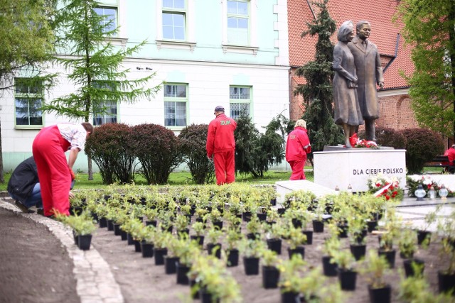 Wczoraj pracownicy ZUK-u w Radomiu sadzili róże przy pomniku Marii i Lecha Kaczyńskich.