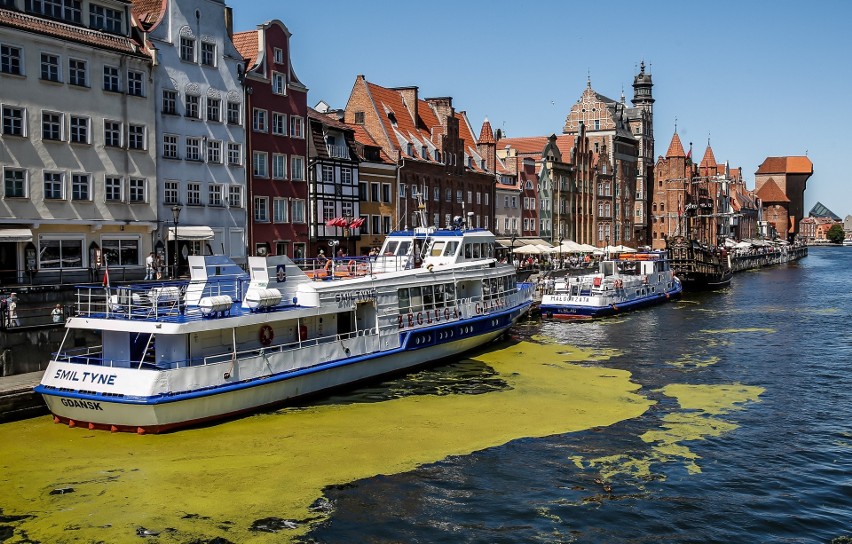 Gdańsk zajął 83 miejsce wśród najlepszych na świecie miast...