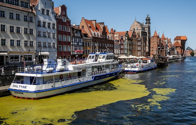 Gdańsk zajął 83 miejsce wśród najlepszych na świecie miast do pracy zdalnej
