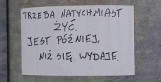 Zobacz perełki ulicznej poezji [zdjęcia]