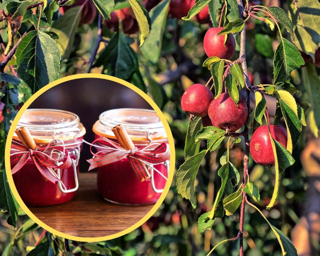 Rajskie jabłuszka można wykorzystać do przygotowania zdrowych przetworów: kompotów, nalewek, galaretek i dżemów.