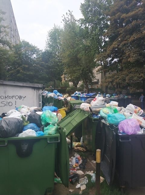 Piętrzące się śmieci szpecą ulice i podwórka Wrocławia. W...