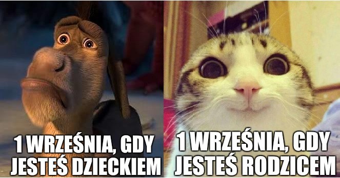 Koniec wakacji zbliża się nieubłaganie. Internet został...