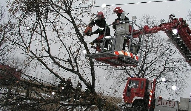 Silny wiatr może lamać drzewa