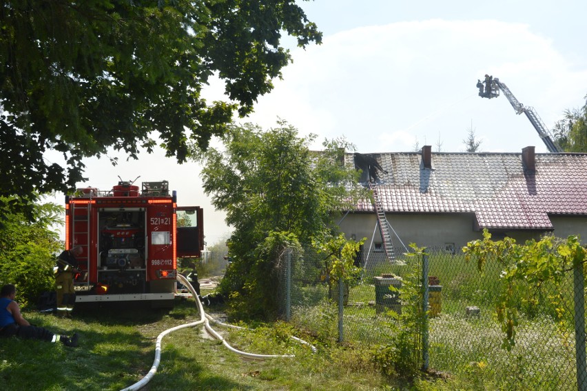 Stogniowice. Strażacy walczyli z pożarem chlewni