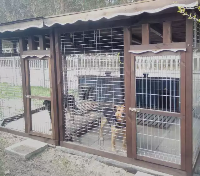 Tymczasowy dom dla bezdomnych zwierząt utworzony został na terenie oczyszczalni ścieków w Bąkowcu.