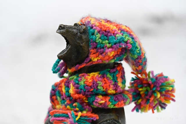 Uczniowie Szkoły Podstawowej nr 9 w Białymstoku wzięli udział w spacerze szlakiem WidziMisiów, podczas którego założyli zimowe ubranka figurkom białostockich niedźwiadków