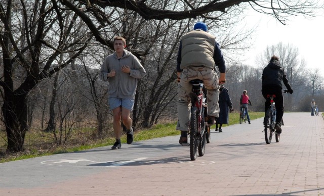 Powstaną nowe ścieżki dla rowerów, ale w trasę zostaną włączone także te już istniejące, a niektóre odcinki będą prowadzić wyasfaltowanymi drogami lub ścieżkami leśnymi.