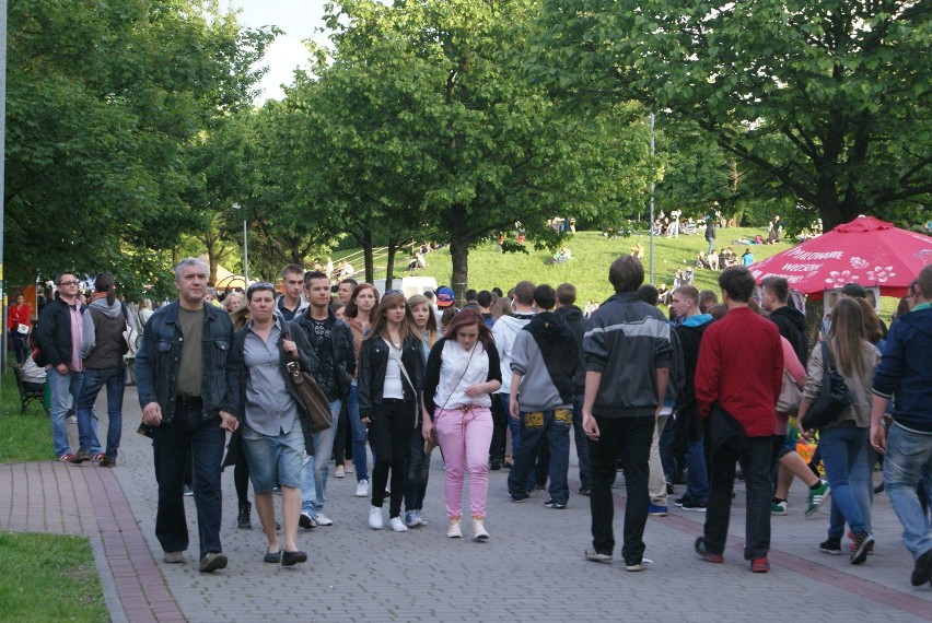 Koncert Kult i Dni Dąbrowy