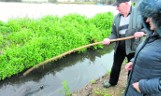 Gołębie-Leśniewo. Zasypany i na nowo wykopany rów budzi emocje