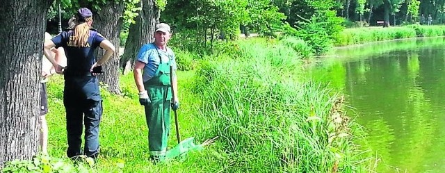 Kaczki w parku nadal zdychają. Badania nie dały odpowiedzi, co jest tego przyczyną.