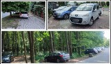 Mistrzowie Parkowania w Kielcach. Ich najnowsze wyczyny was zadziwią! [ZDJĘCIA]