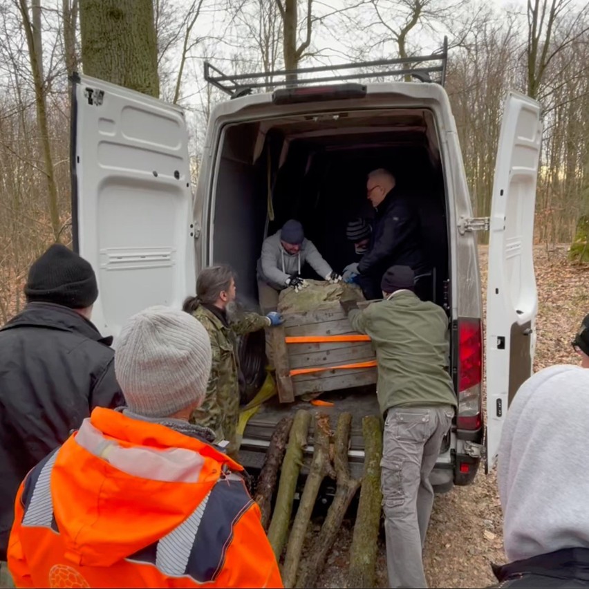 Wielbiciele lokalnej historii i cesarski pomnik w Płoni. To kamienny stół z siedziskami czyli "Cesarka"