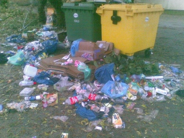 Rozgrzebane śmieci przy pojemnikach na ulicy Kościuszki, w centrum Tarnobrzega.