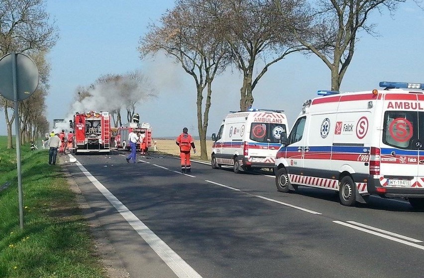 Wypadek pod Brzegiem. Kierowca spłonął w samochodzie