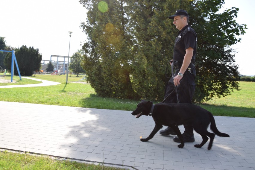 Policjant i pies, czyli zgrany duet