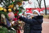 Piękna choinka przy centrum przesiadkowym w Brzegu. Przyozdobiły ją dzieci! [ZOBACZ ZDJĘCIA]