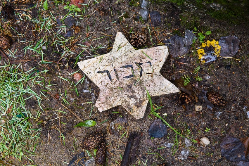 75. rocznica mordu Żydów w Lesie Łopuchowskim
