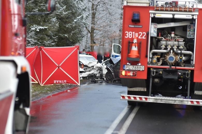 W tragicznym wypadku pod Lesznem zginęło roczne dziecko....