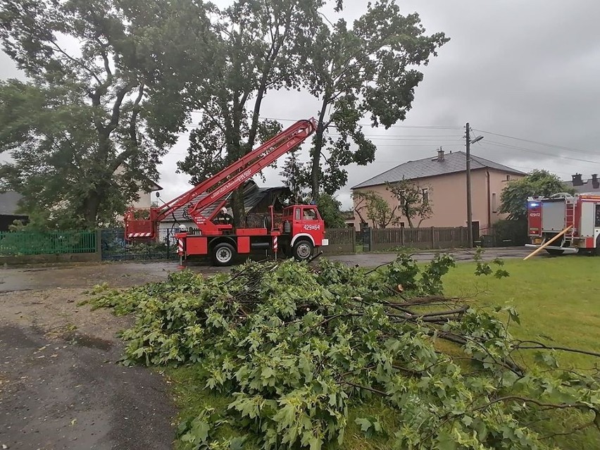 Obraz po gwałtownej burzy w powiecie chrzanowskim. Połamane drzewa blokują drogi, poniszczone są ogrodzenia