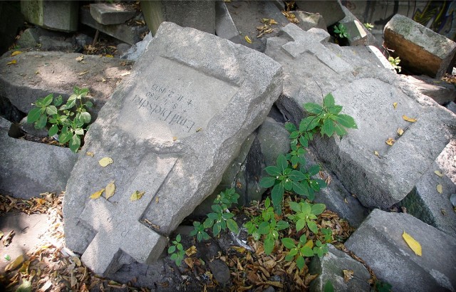 Poniemieckie nagrobki znalezione na Kozanowie