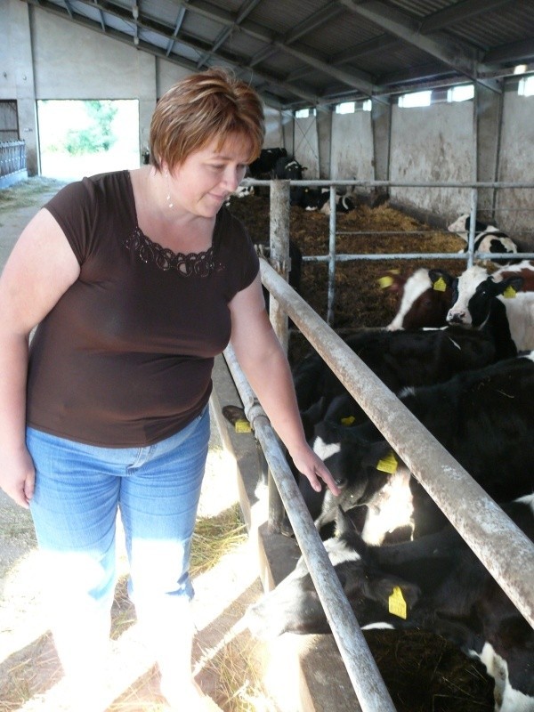 Małgorzata Bąk w Koziej Wsi hoduje w swoim gospodarstwie 62 sztuki bydła