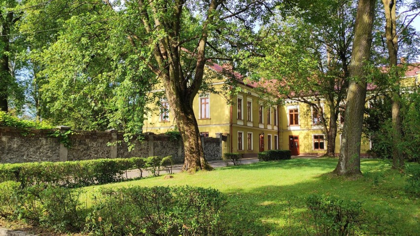 Czernichów. Młodzi strażacy uczyli się nie tylko działań pożarniczych, ale też fotografowania