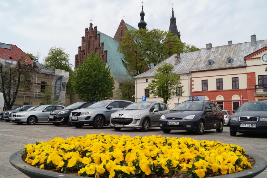 Olkusz. W centrum miasta królują bratki i tulipany. Pojawią się też róże [ZDJĘCIA]