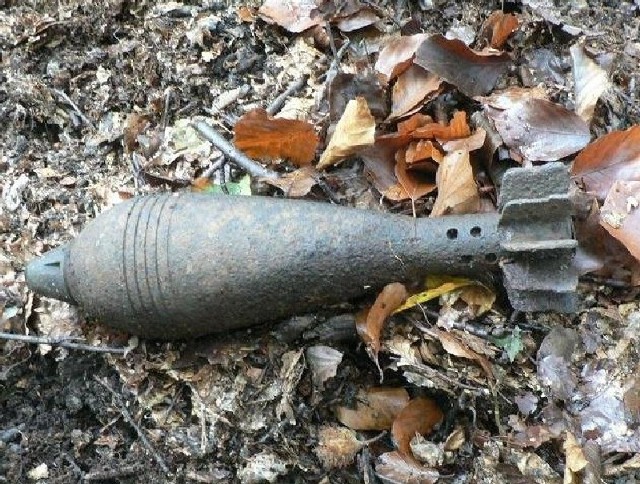 Granaty moździerzowe znalezione w lesie.