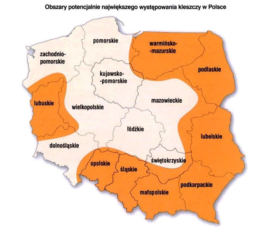 Borelioza jest najczęstszą chorobą zawodową wśród rolników....