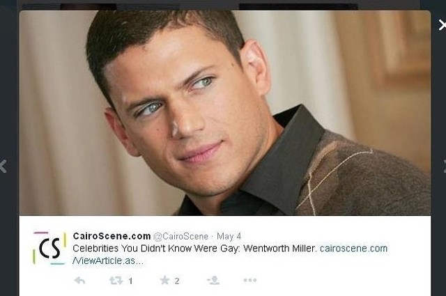 Wentworth Miller (fot. screen z Twitter.com)